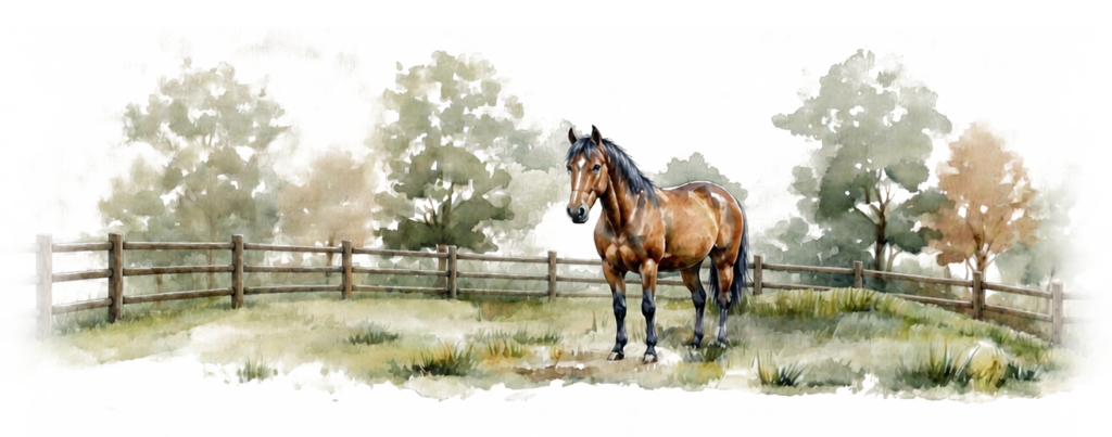 Jet Crossing, an off-the-track Thoroughbred, standing in the pasture with a fence and trees in the background; watercolor style